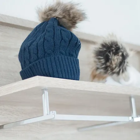 泰蕾兹公寓 * 艾奇